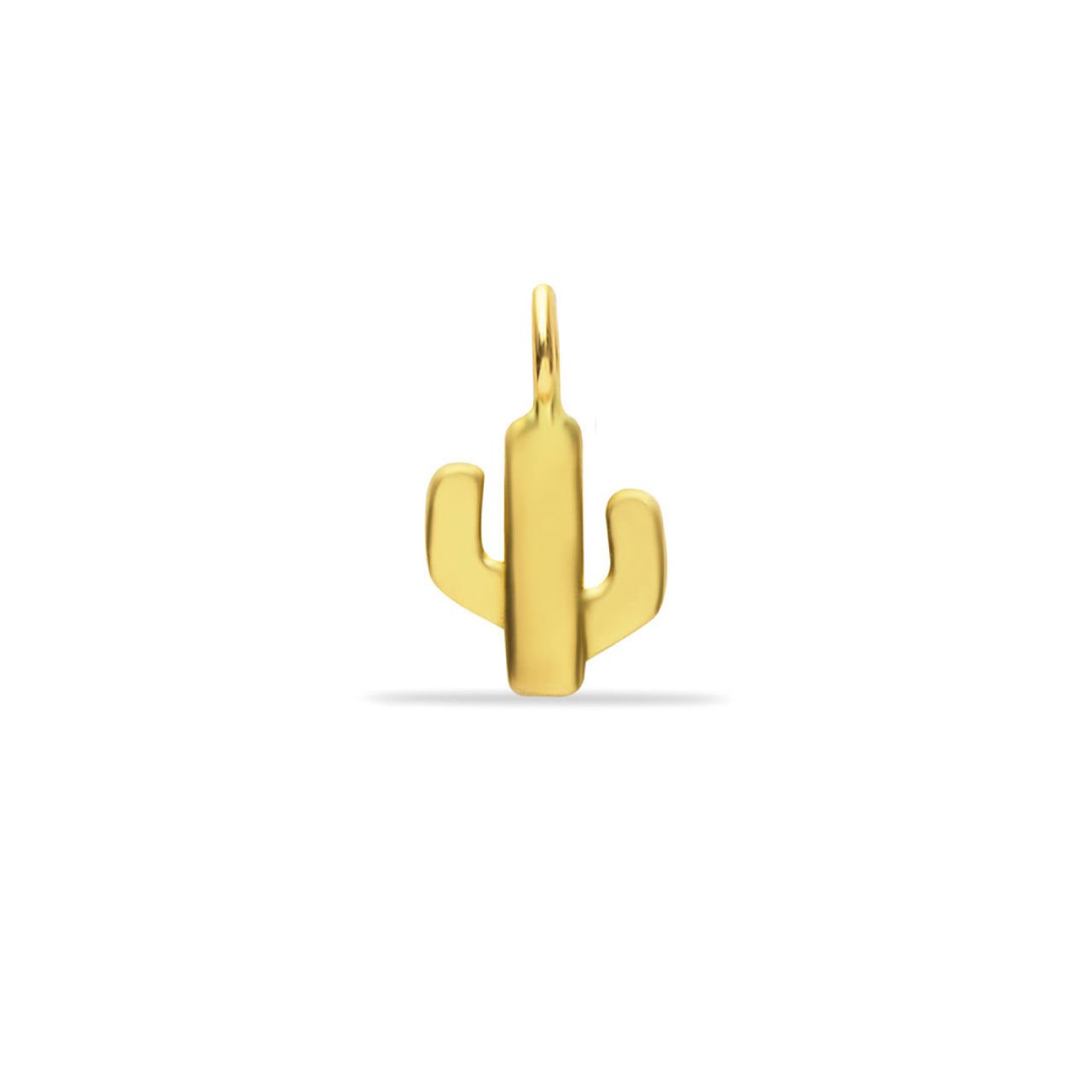 Kaktüs Charm