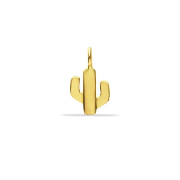 Kaktüs Charm