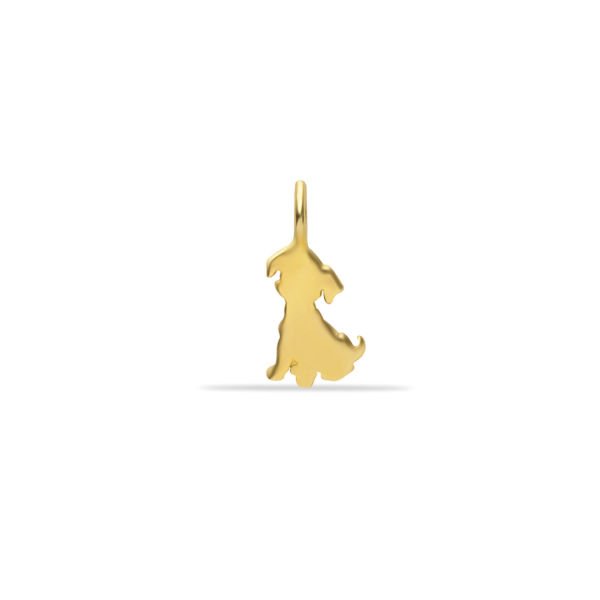 Köpek Charm