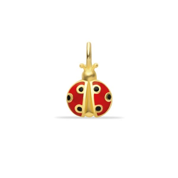 Uğur Böceği Charm