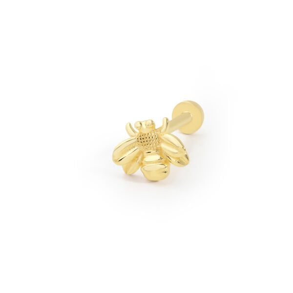 Arı Piercing
