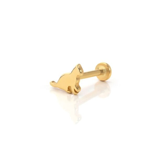 Kedi Piercing