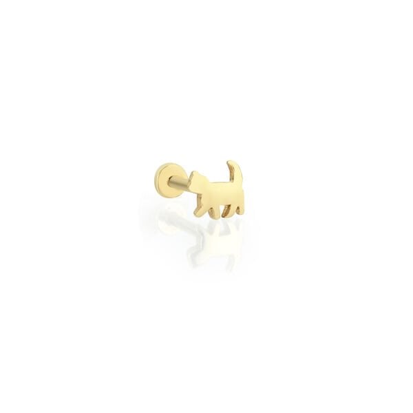 Kedi Piercing
