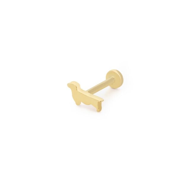 Köpek Piercing