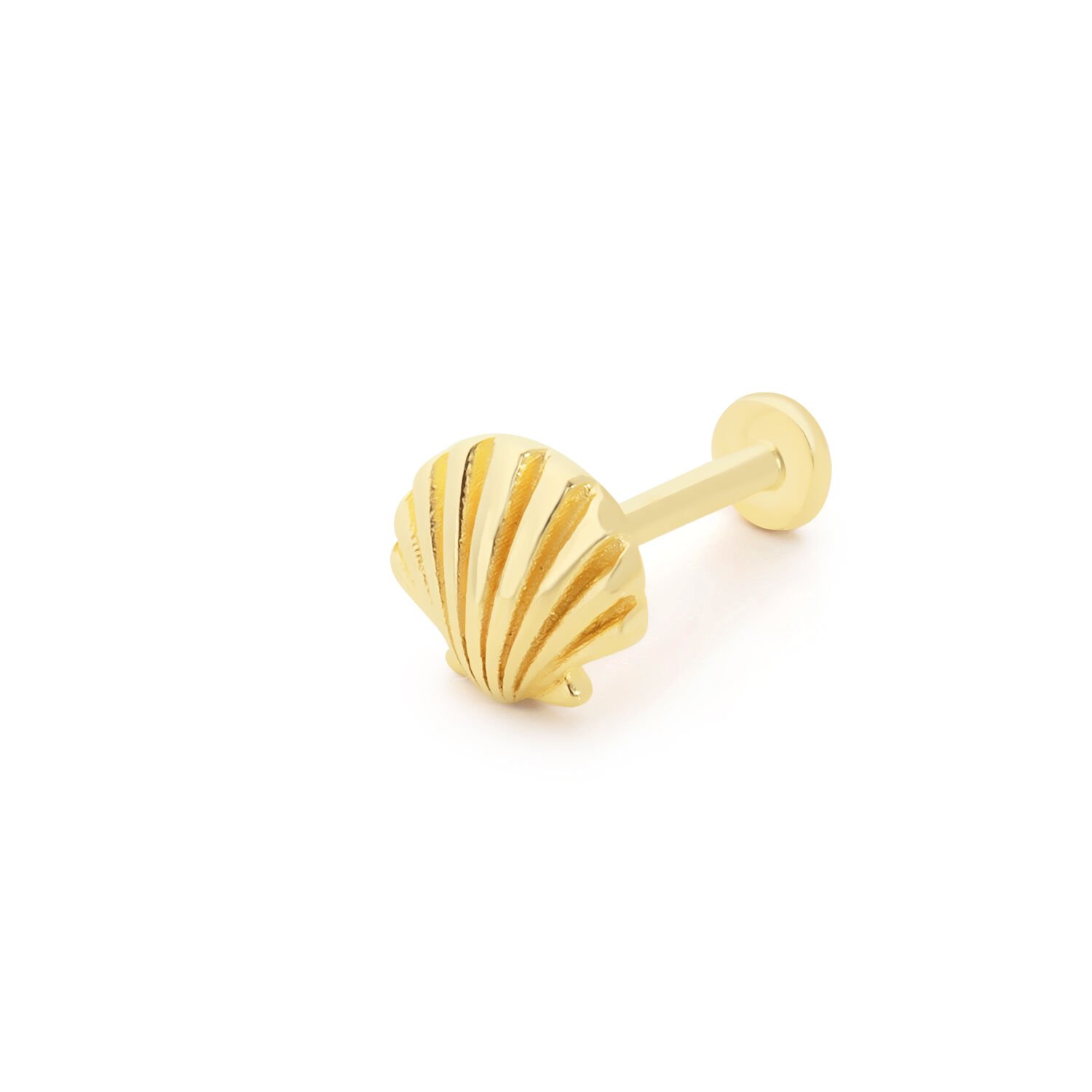 İstiridye Piercing