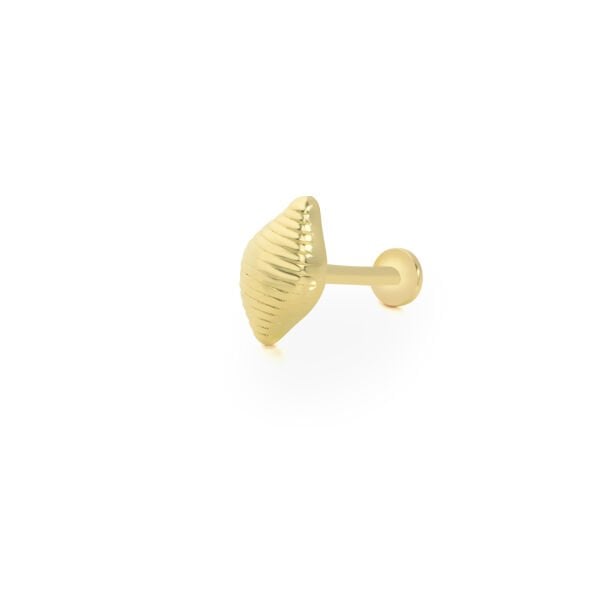 Deniz Kabuğu Piercing